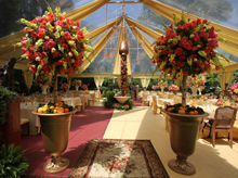 Events